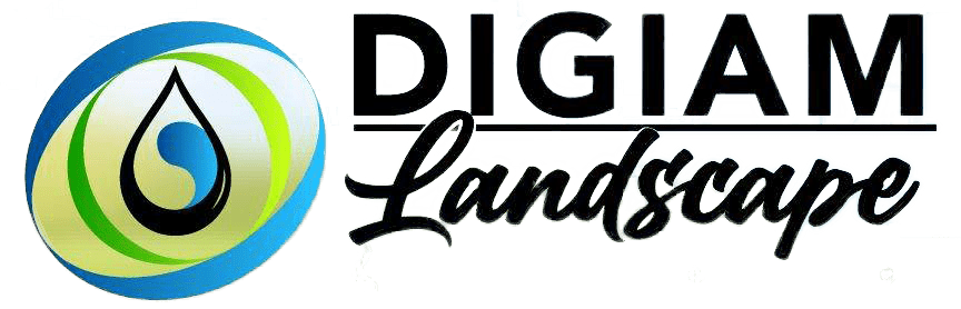 diagam logo